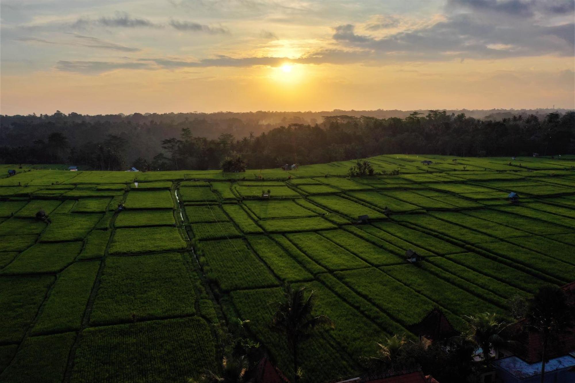 The Joglo At Umah Sunset Vila Ubud Exterior foto